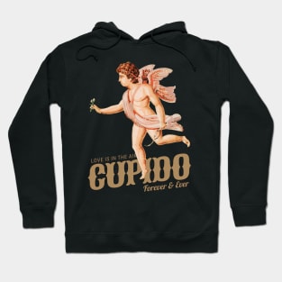 Ancient Cupid Angel Love is in the Air Hoodie